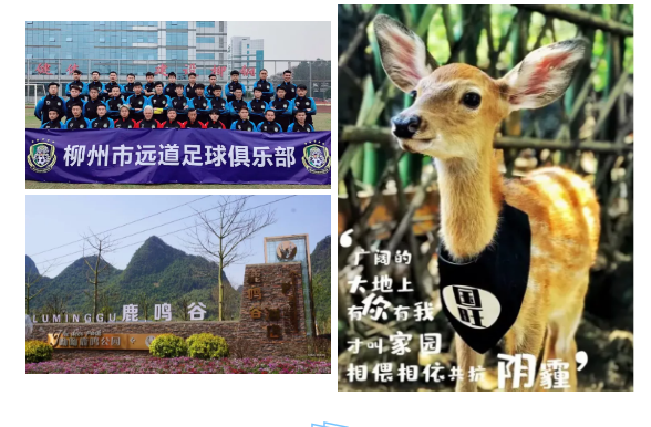 1623033619879348.png image.png