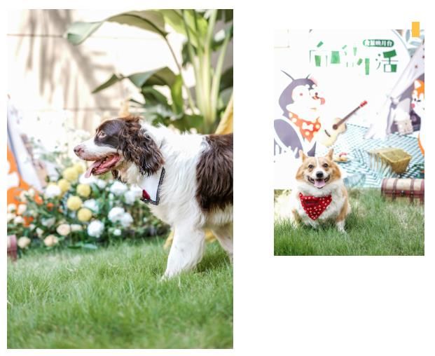 1626668787129970.jpg 微信截图_20210719122052.jpg