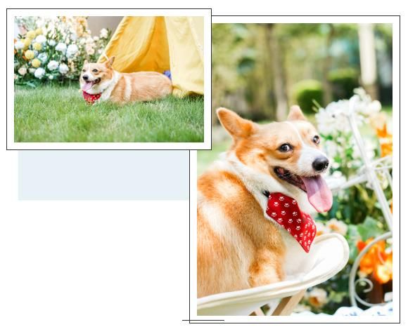 1626668851313364.jpg 微信截图_20210719122118.jpg