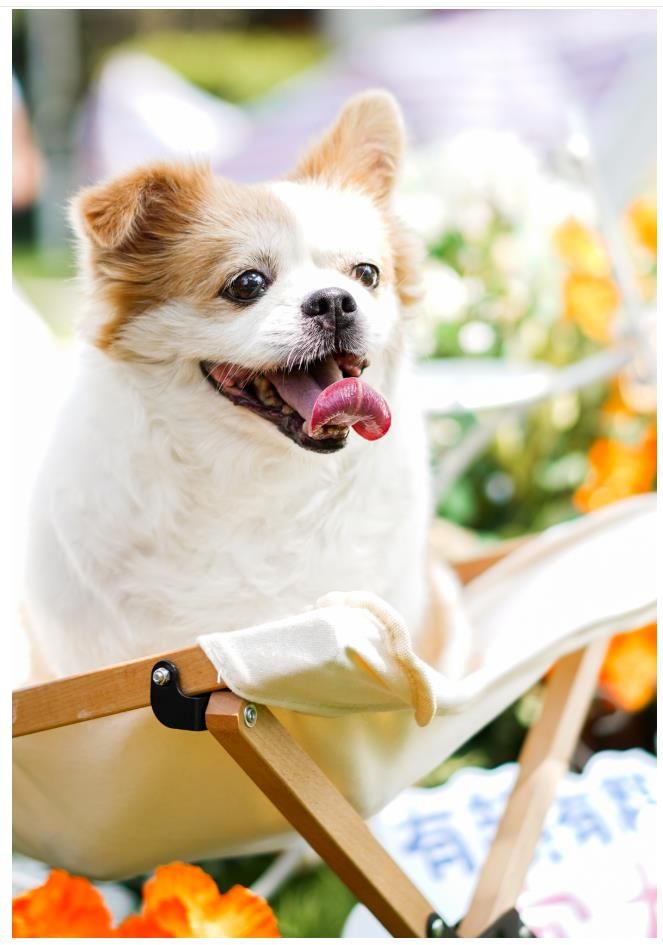 1626669323289512.jpg 微信截图_20210719123513.jpg