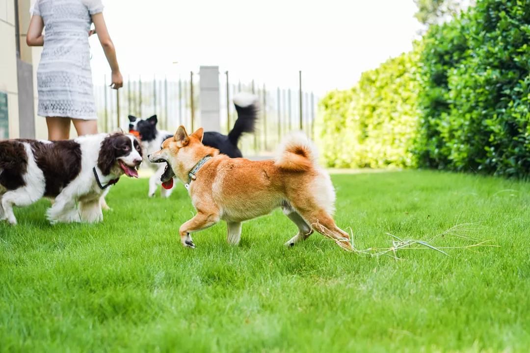 1626669454272104.jpg 微信图片_20210719122107.jpg