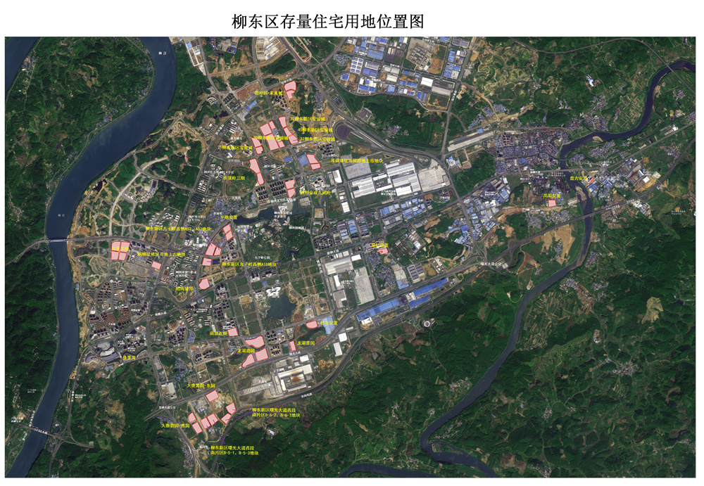 1650441243567332.jpg 柳东.jpg